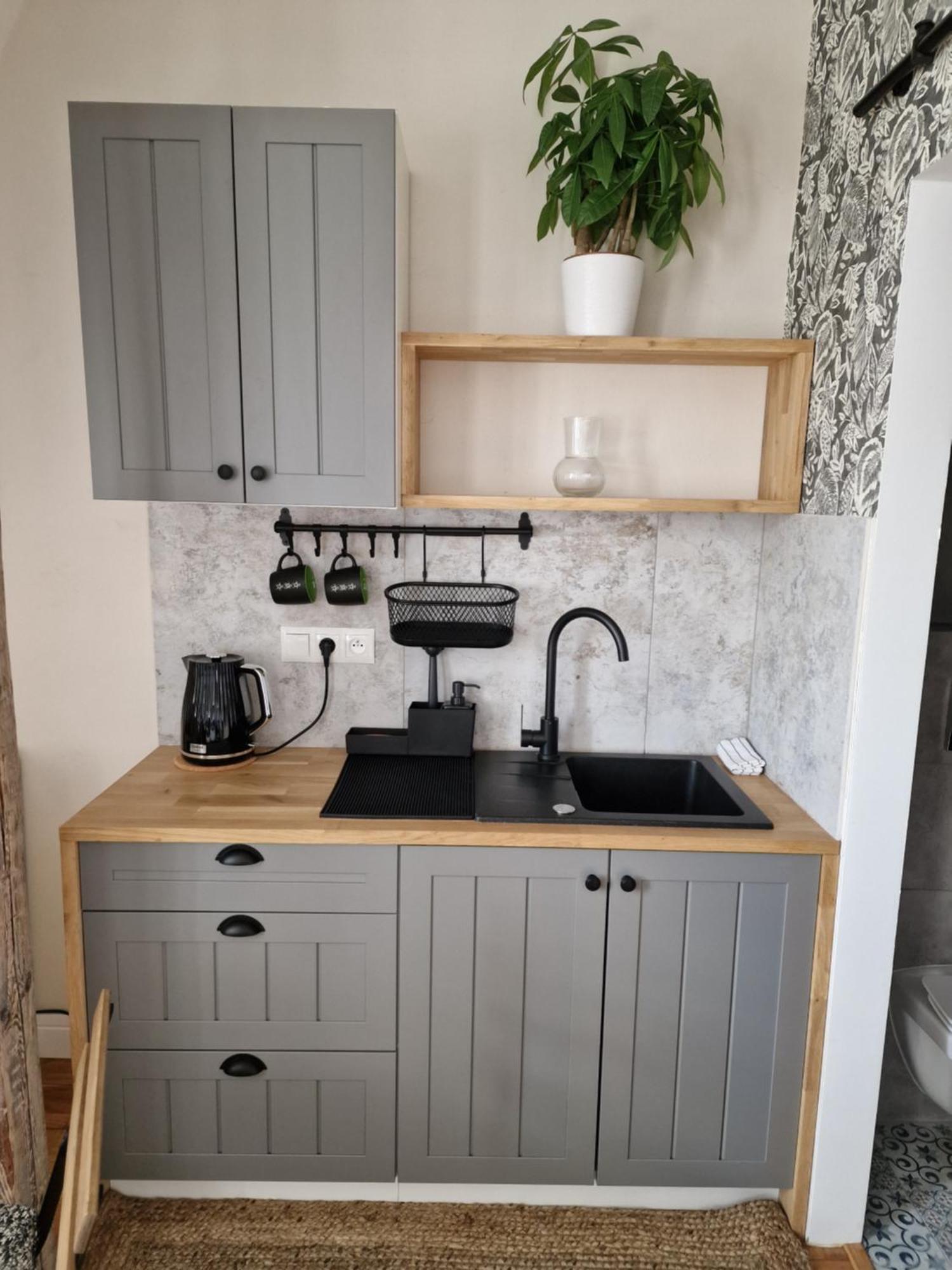 Klimatyczny Apartament Na Bydgoskim Przedmiesciu Stary Toruń 外观 照片
