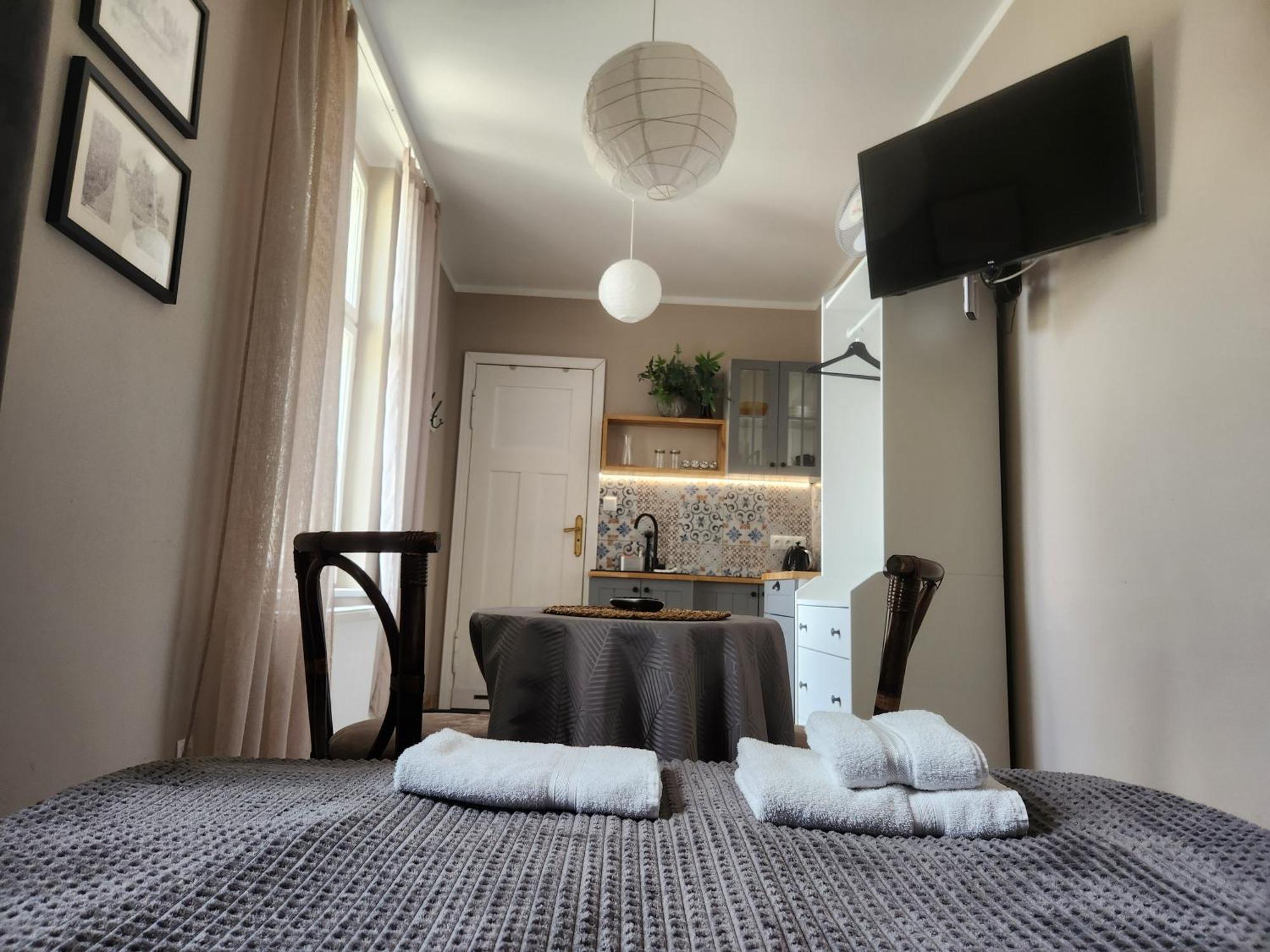Klimatyczny Apartament Na Bydgoskim Przedmiesciu Stary Toruń 外观 照片